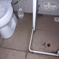 фото из отзыва ID 1832529