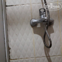 фото из отзыва ID 1832529