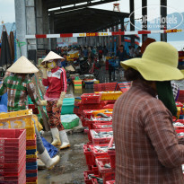 фото из отзыва ID 1832615