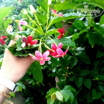 фото из отзыва ID 1832616