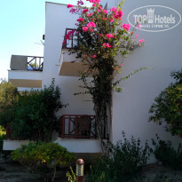 фото из отзыва ID 1832651