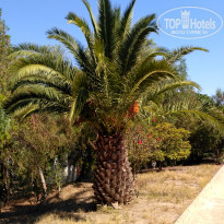 фото из отзыва ID 1832651