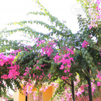 фото из отзыва ID 1832655