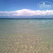 фото из отзыва ID 1832704