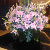 фото из отзыва ID 1832725