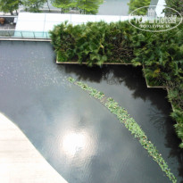 фото из отзыва ID 1832725