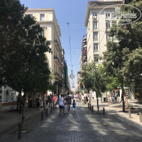 фото из отзыва ID 1832748