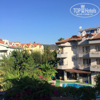 фото из отзыва ID 1832809