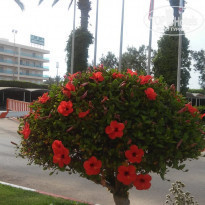 фото из отзыва ID 1833036