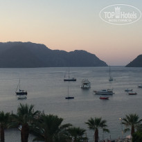 фото из отзыва ID 1833083