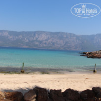 фото из отзыва ID 1832495