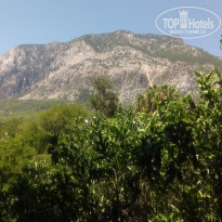 фото из отзыва ID 1833104