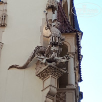 фото из отзыва ID 1833187