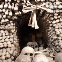 фото из отзыва ID 1833187