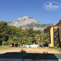 фото из отзыва ID 1833427