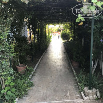 фото из отзыва ID 1833408