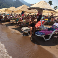 фото из отзыва ID 1832935