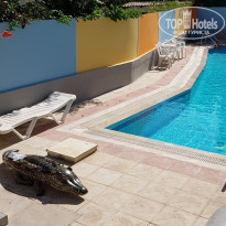 фото из отзыва ID 1833512