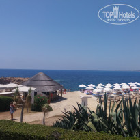 фото из отзыва ID 1833513