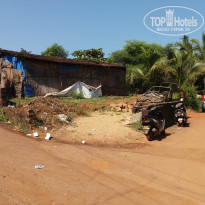 фото из отзыва ID 1833563