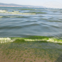 фото из отзыва ID 1833652