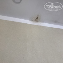 фото из отзыва ID 1833782