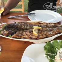 фото из отзыва ID 1833782