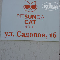 фото из отзыва ID 1834067