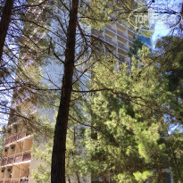 фото из отзыва ID 1834076