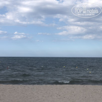 фото из отзыва ID 1834123