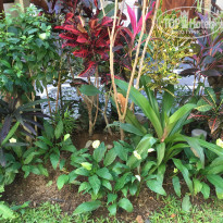 фото из отзыва ID 1834186