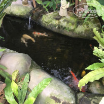 фото из отзыва ID 1834186