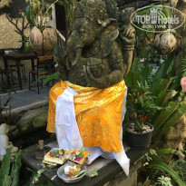 фото из отзыва ID 1834186