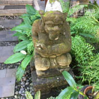 фото из отзыва ID 1834186