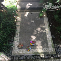 фото из отзыва ID 1834186