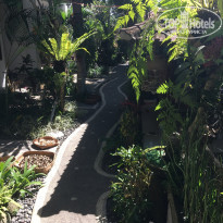 фото из отзыва ID 1834186