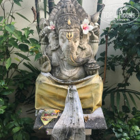 фото из отзыва ID 1834186