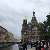 фото из отзыва ID 1834254