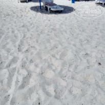 фото из отзыва ID 1834384