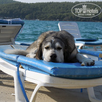 фото из отзыва ID 1834462