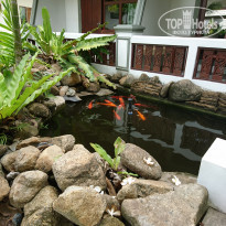 фото из отзыва ID 1834495