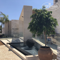 фото из отзыва ID 1834543