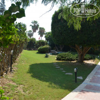 фото из отзыва ID 1834596