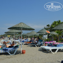 фото из отзыва ID 1834596