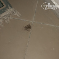 фото из отзыва ID 1834630