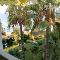 фото из отзыва ID 1834656