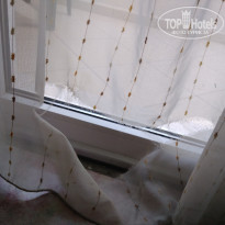 фото из отзыва ID 1834828