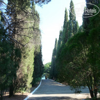 фото из отзыва ID 1834838