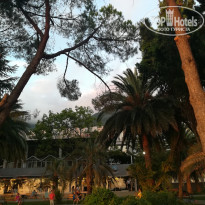 фото из отзыва ID 1834873