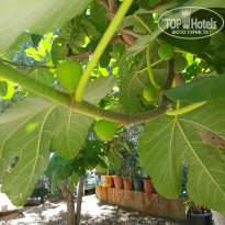 фото из отзыва ID 1834889